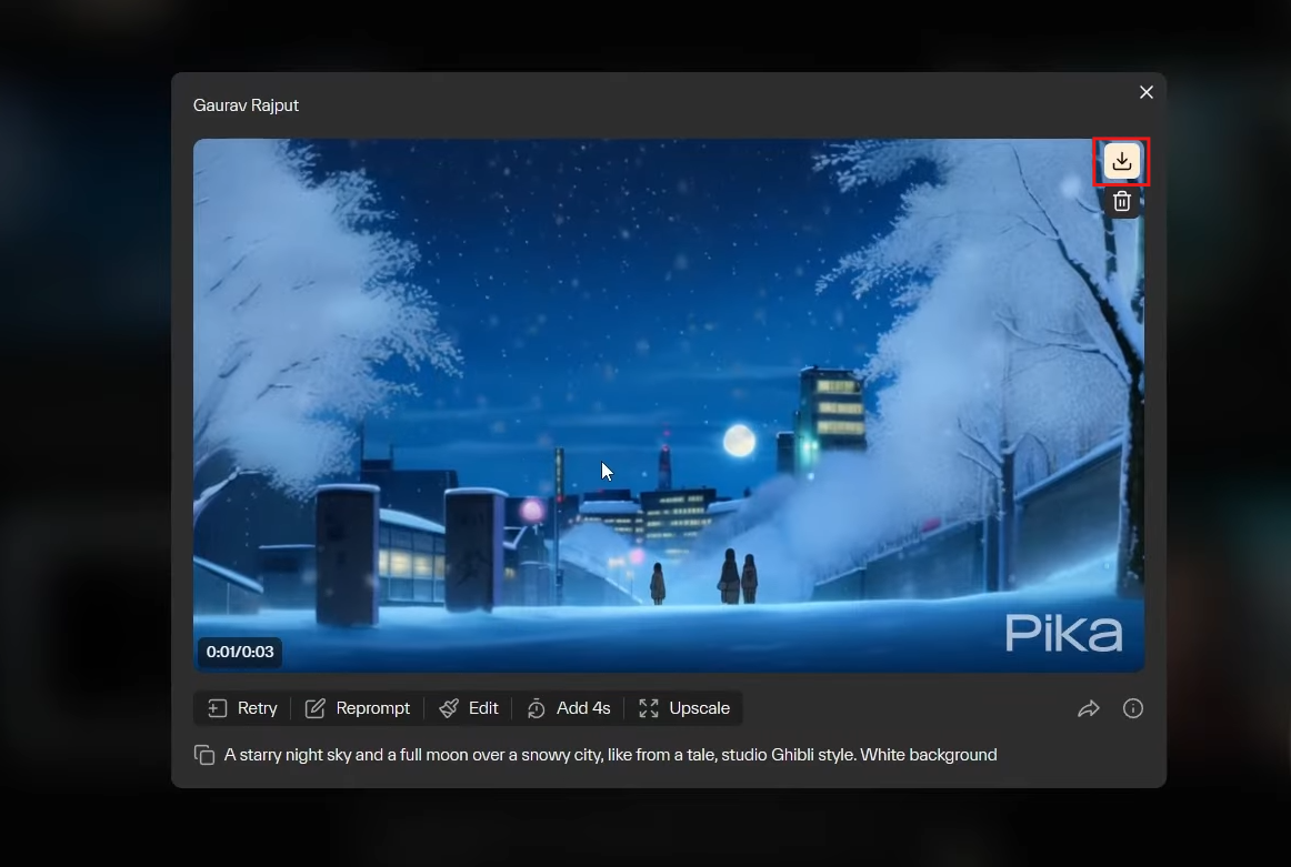 Preview and download video