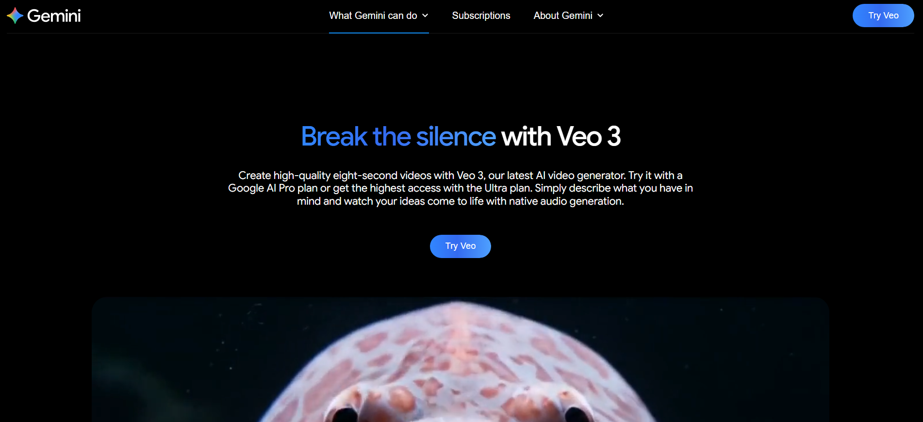 Veo Gemini AI video generator