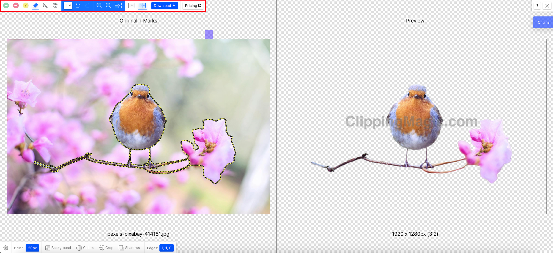 Adjust the background removal