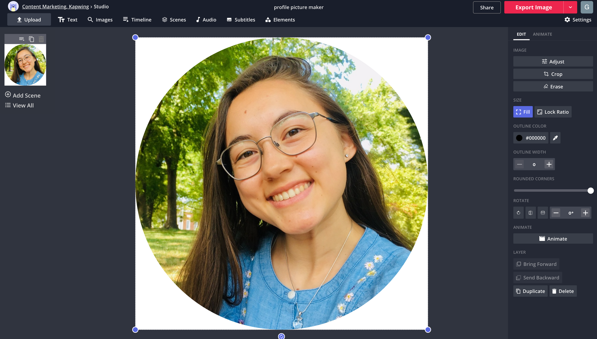 Interface of Kapwing - an easy to use Facebook profile photo maker