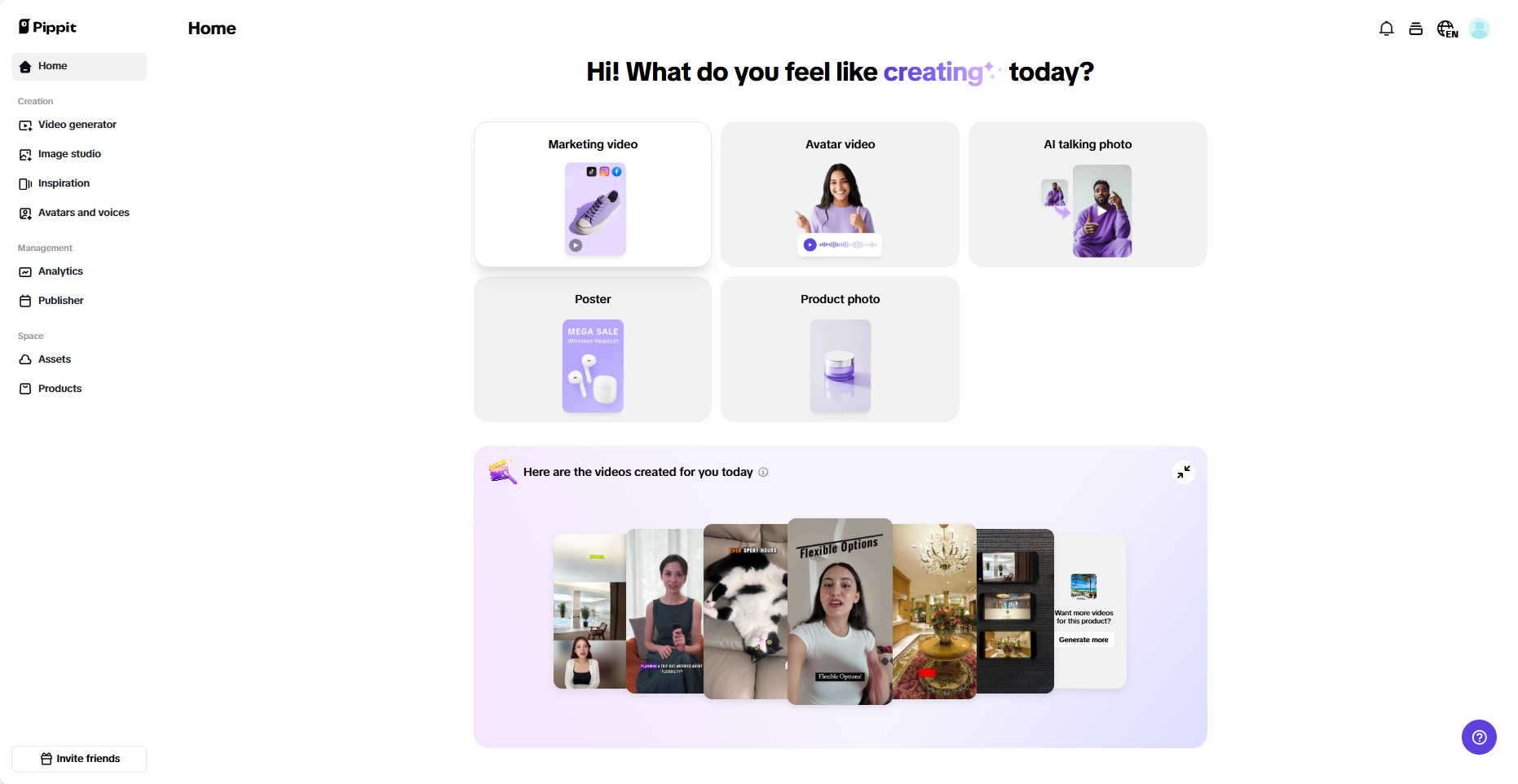 Pippit interface