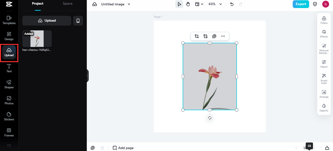 Select the image