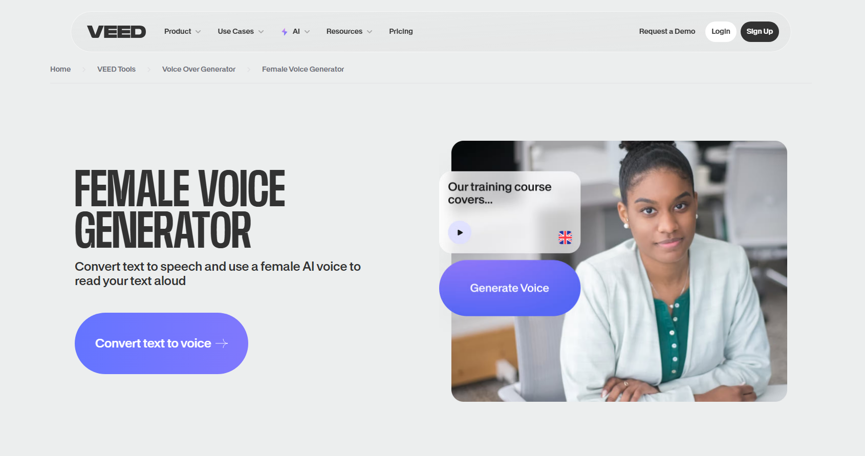 VEED.io interface
