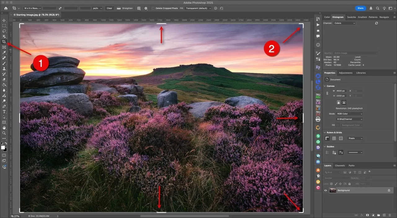 Select the crop tool in Photoshop