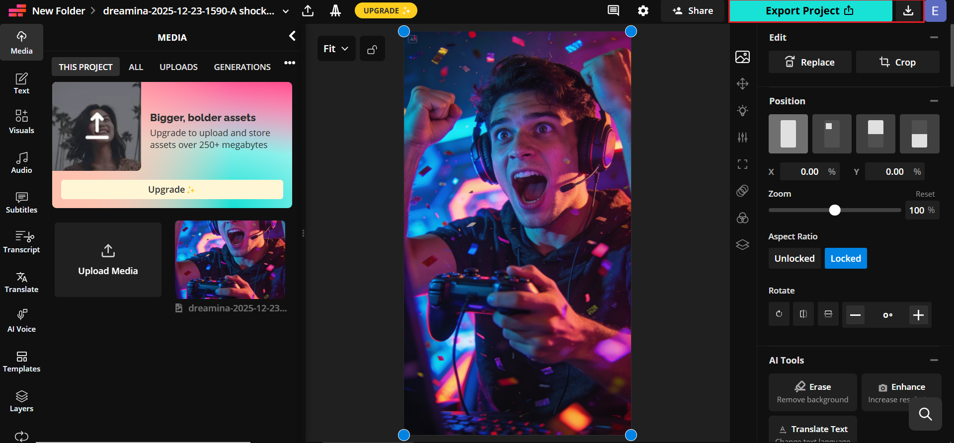 Export and download