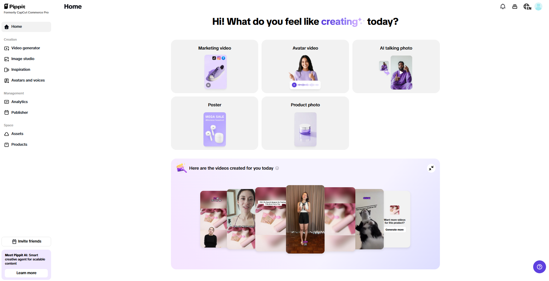 Pippit interface