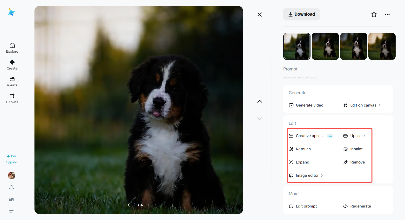 Editing and enhancing the darkened photo in Dreamina