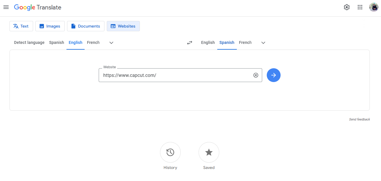 Input the website link into Google Translate