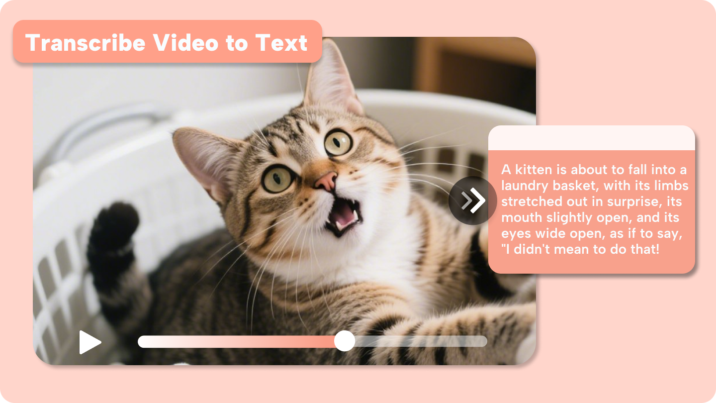 videotranskriberare
