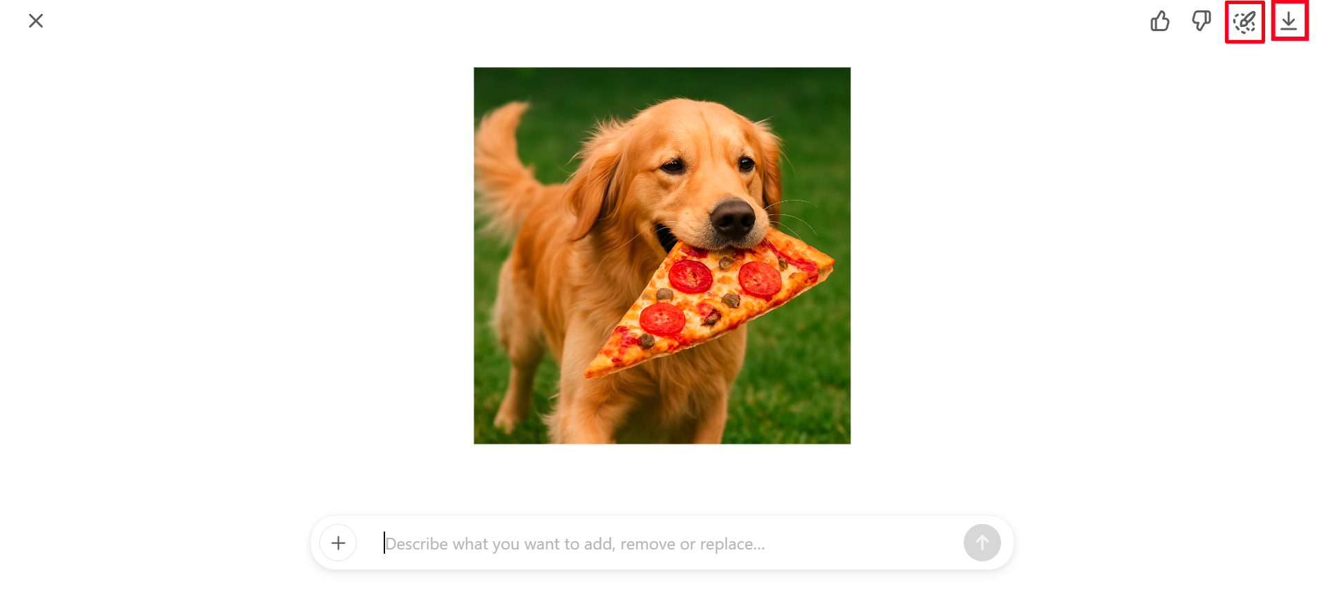 Download the image