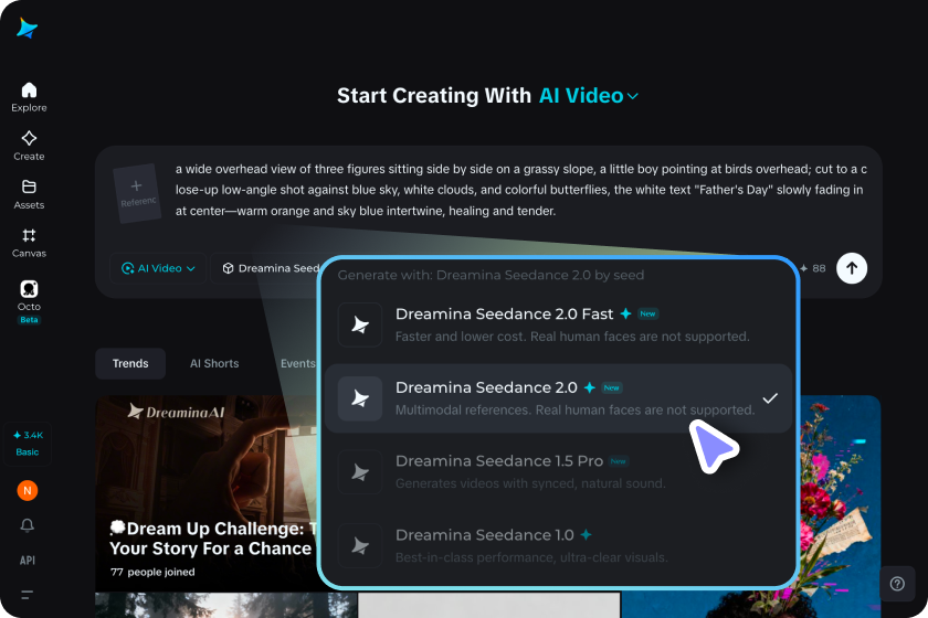  Set up the video model and adjust settings