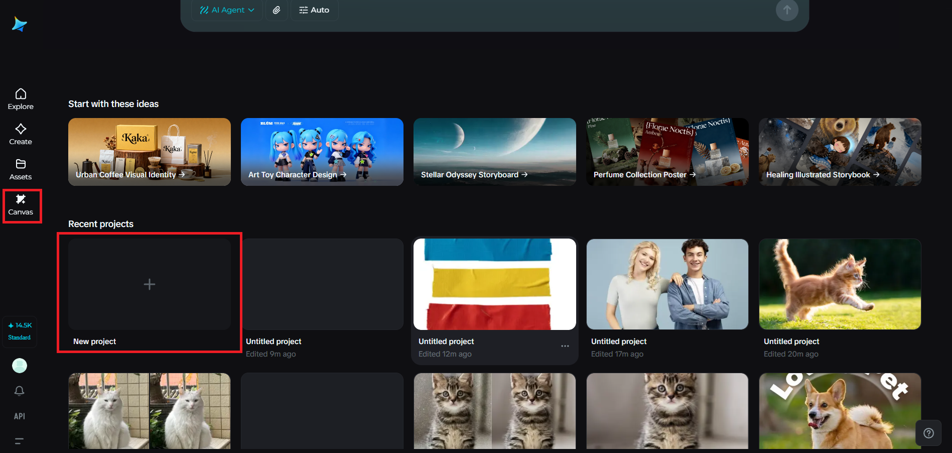 Open Canvas and start a new project