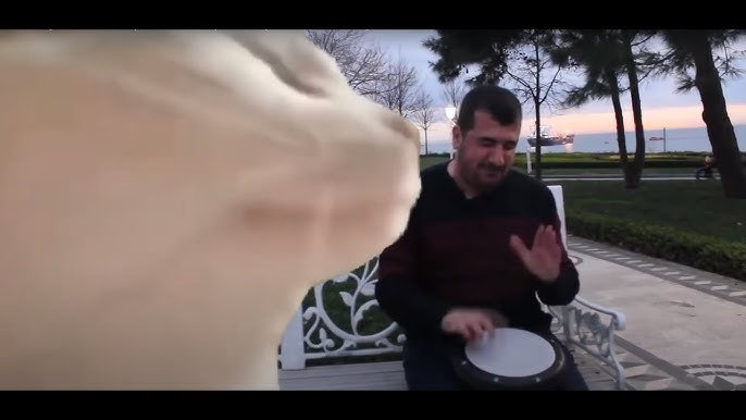 Levan Polkka - funny music video meme