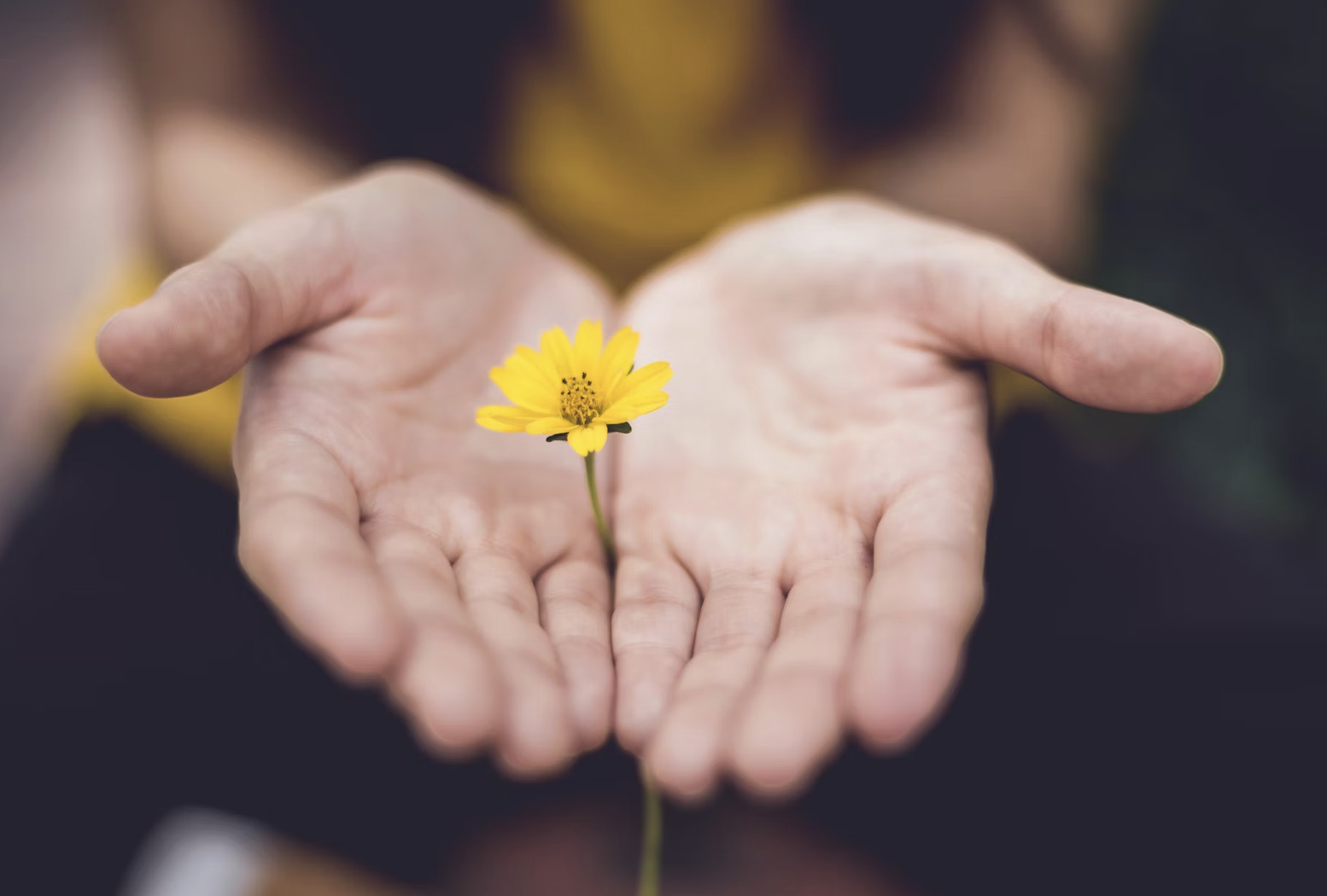 A serene image of a sunrise over a calm lake, with the words "70+ Healing Quotes to Mend Your Heart and Soul in 2025" overlaid in a gentle, elegant font. The colors are soft and calming, reflecting the theme of healing and hope.