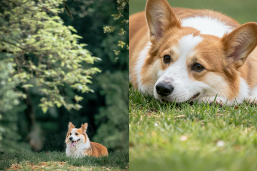 Préservation élevée des fonctionnalités dans Seedream 4,0