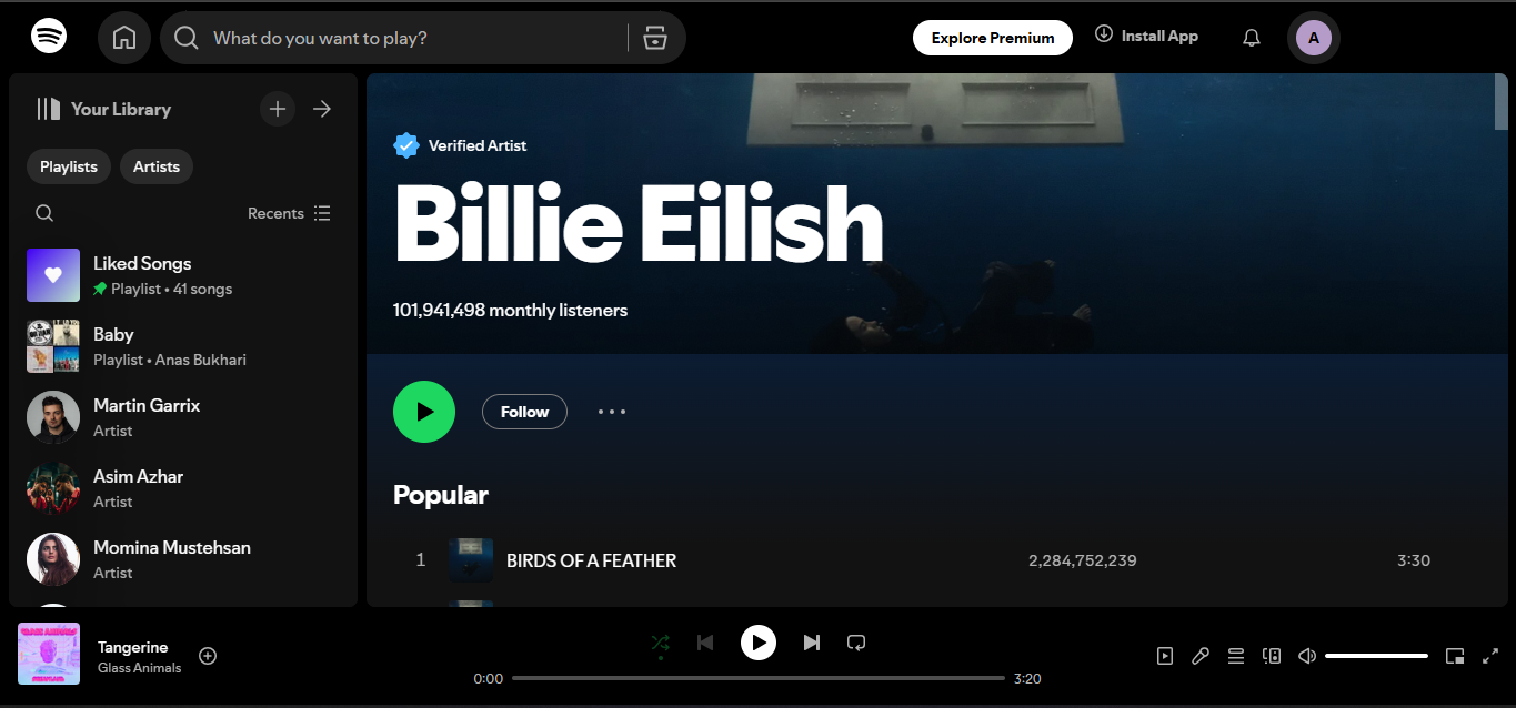 Billie Eilish - Listed among Spotify's top 500 artists