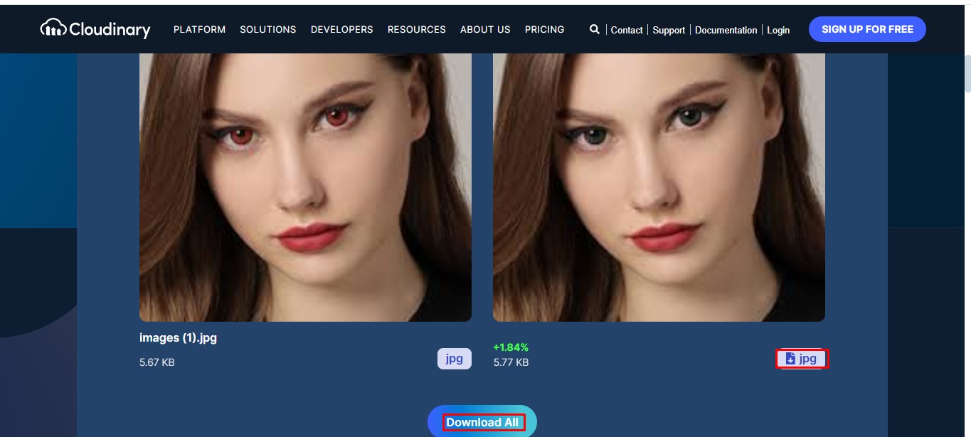 Download the image from the red eye correction online tool