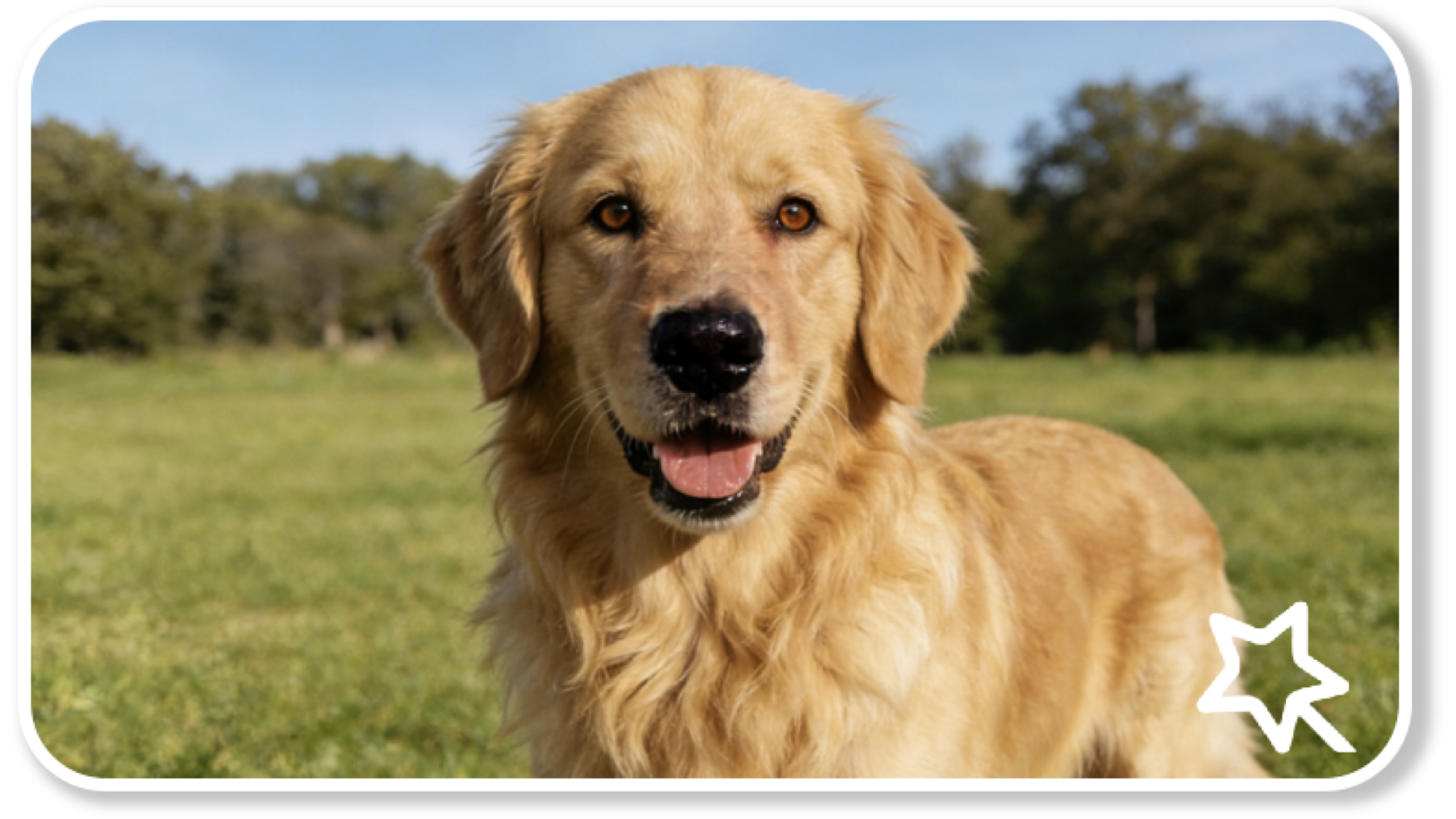 Powerful Creative Effects to Enhance Your Content