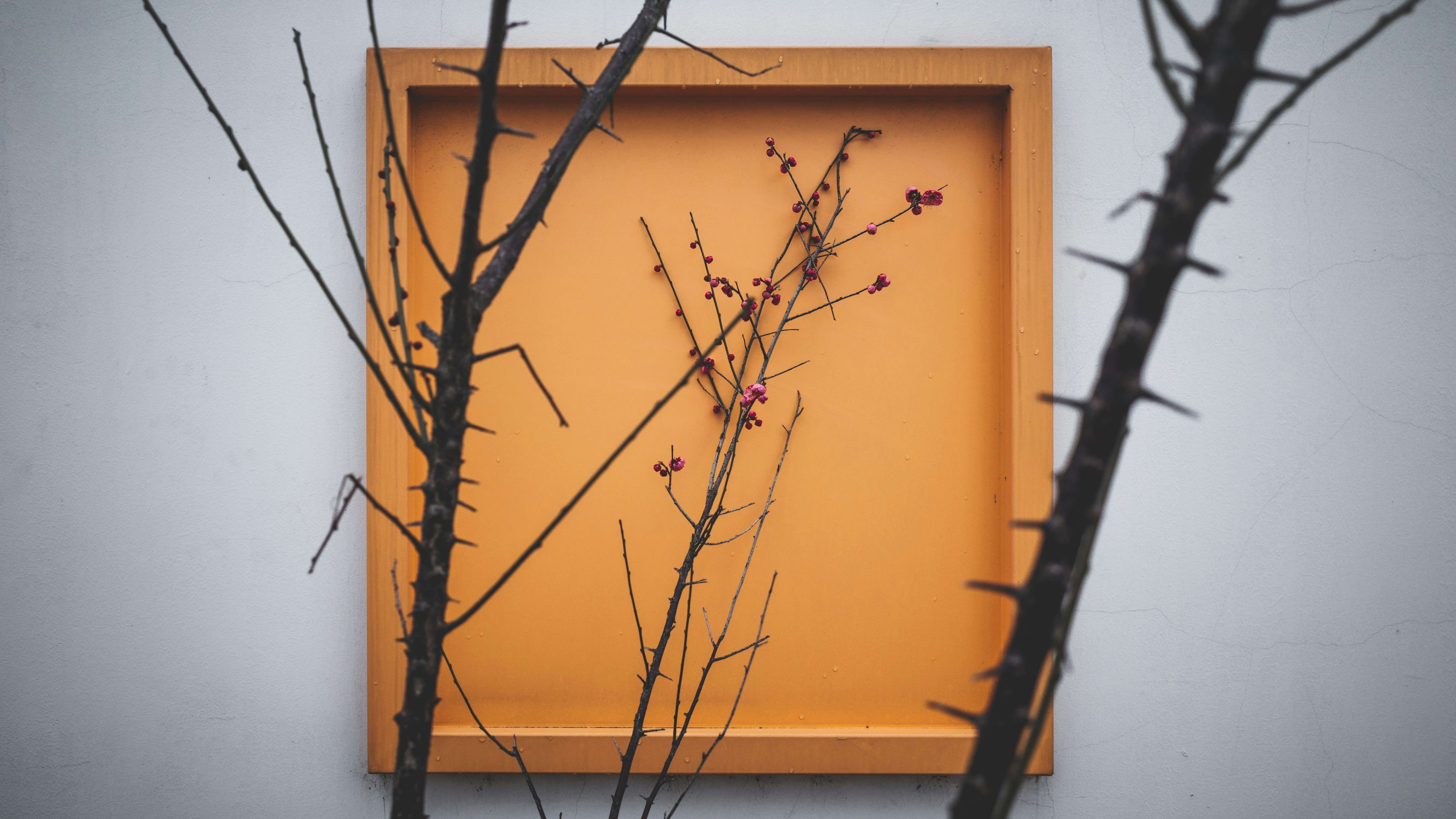 Tips for making your framed product pictures stand out