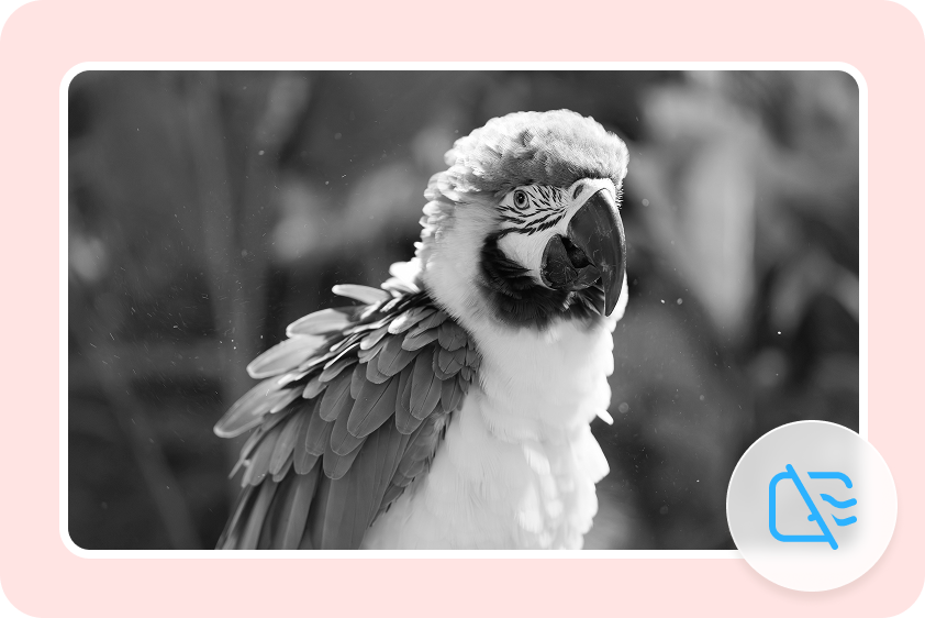 Export grayscale pictures from CapCut without a watermark