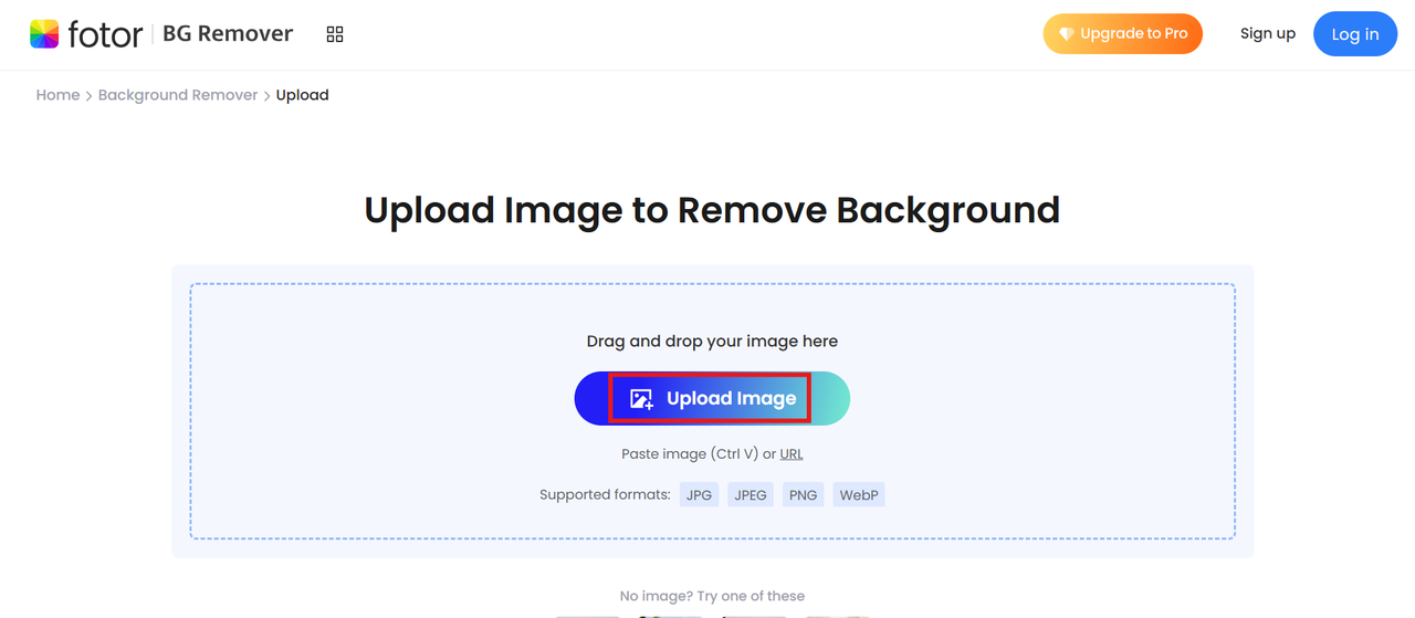 upload an image