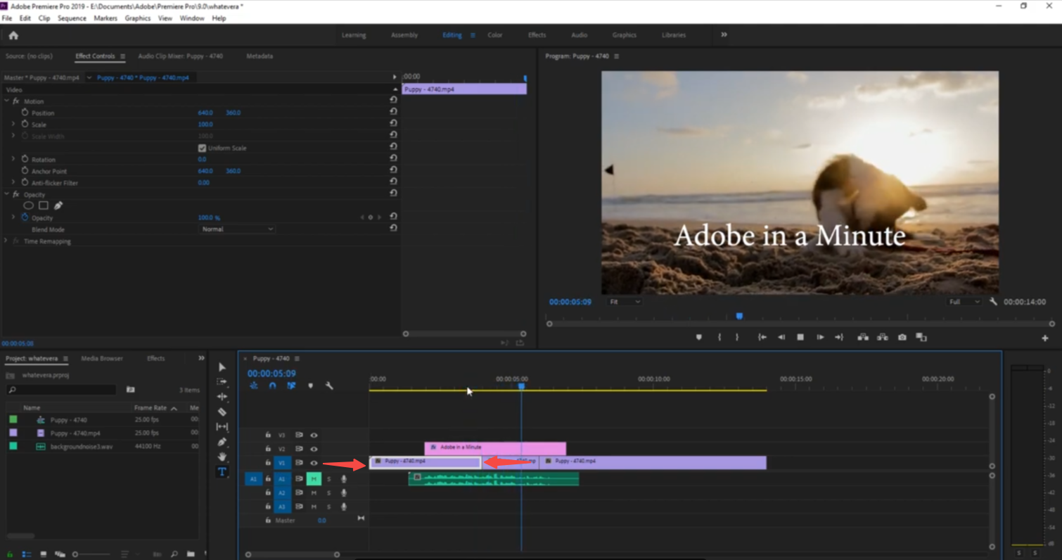 Drag the edge of the segment in Premiere Pro
