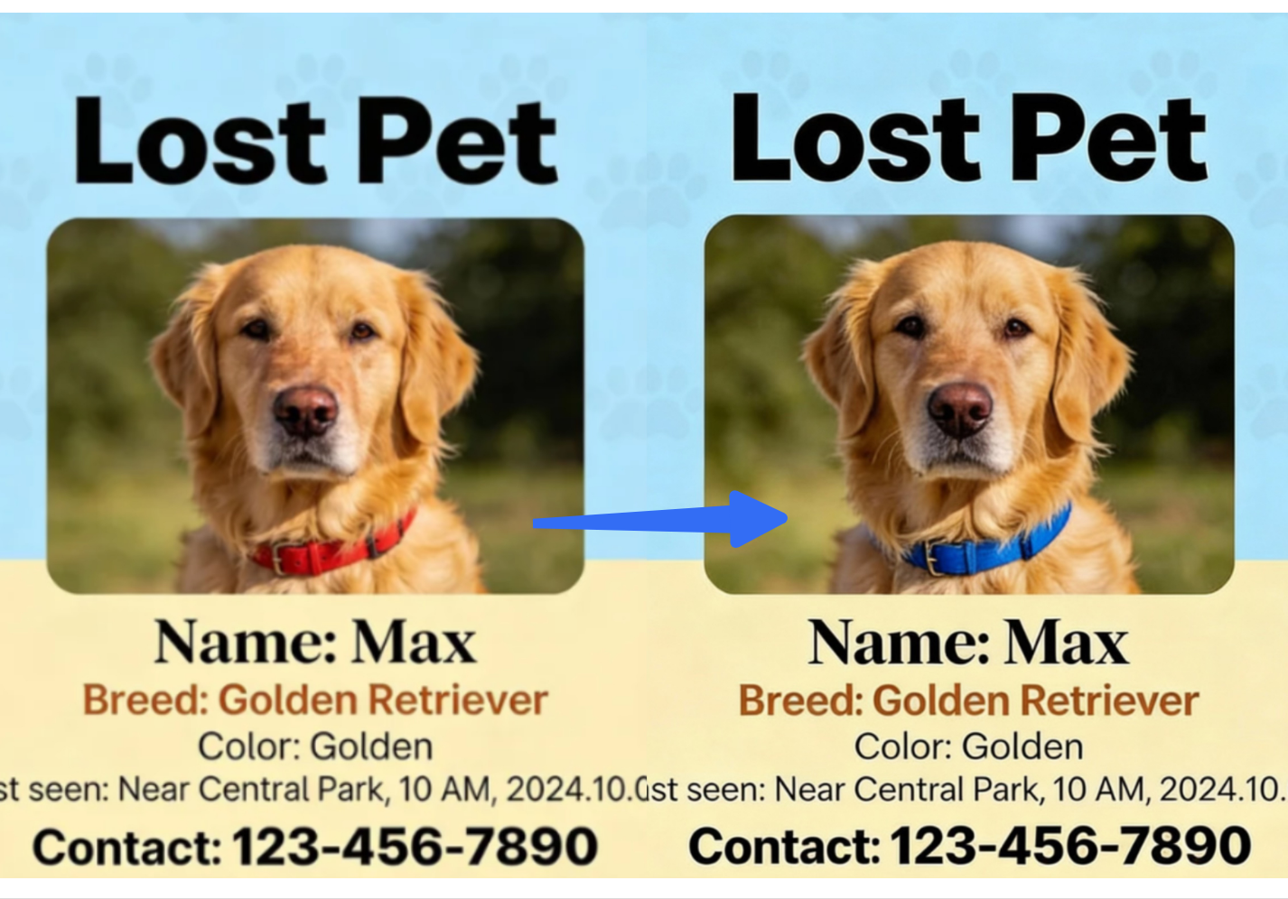Enhance the pet dog poster by Dreamina's interactive editing tools