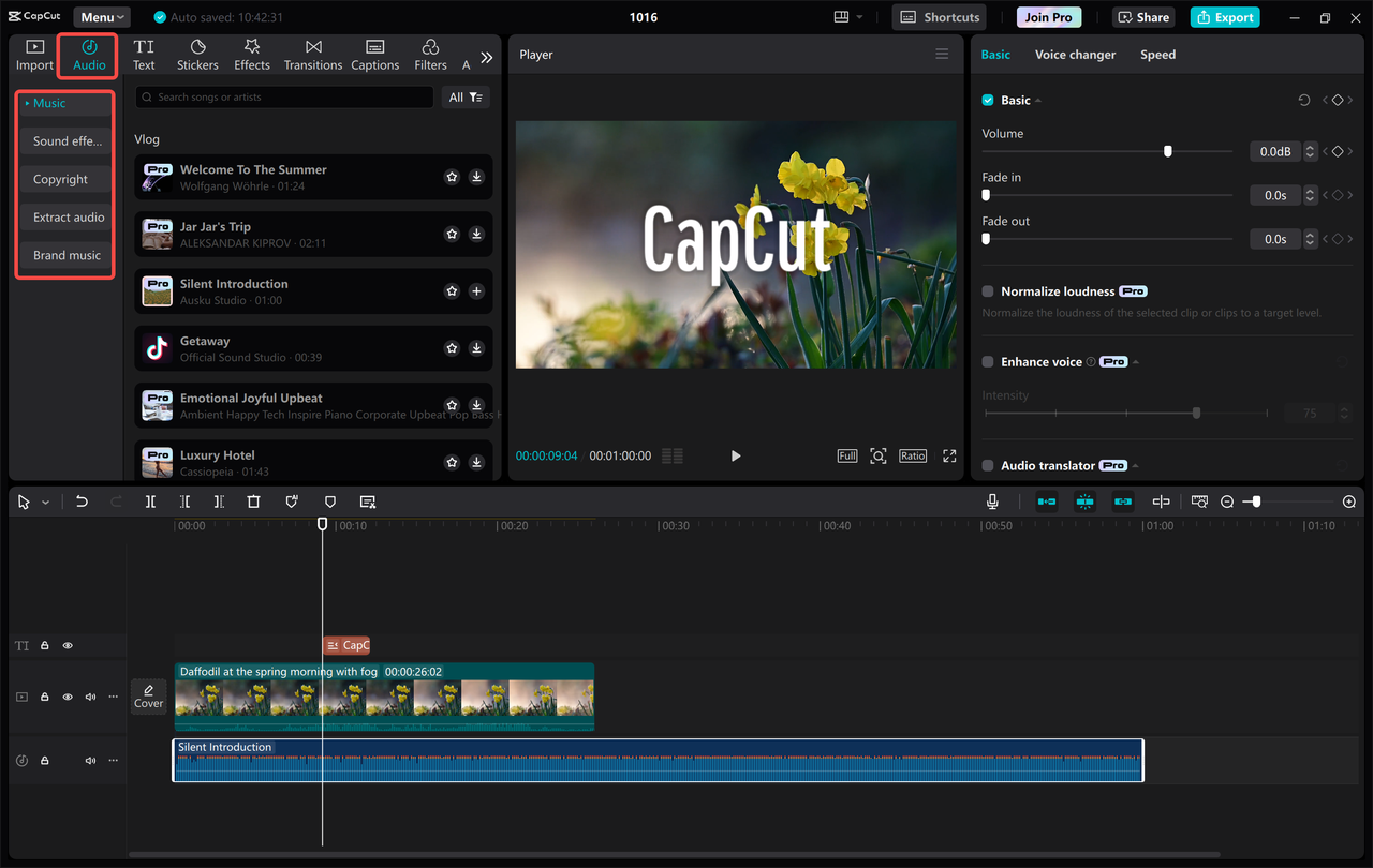 CapCut guide for beginners: showing free background sounds and music