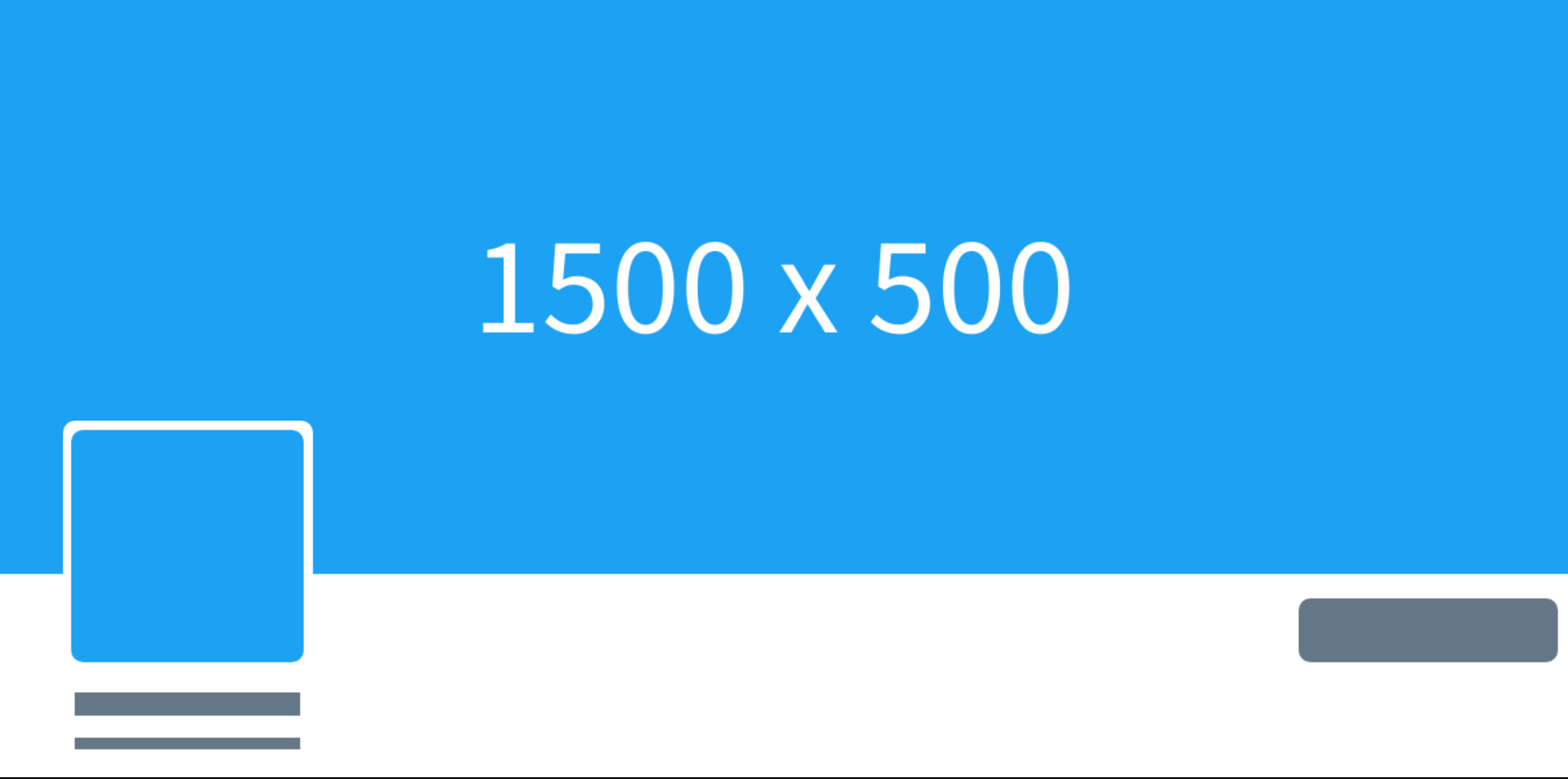 Todo Lo Que Necesitas Saber Sobre El Tamaño De La Imagen Del Perfil De  Twitter, image size:2590x1288