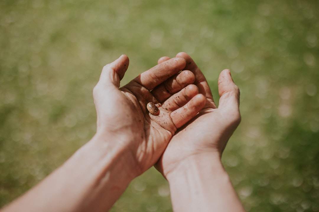 A close-up shot of two hands holding, symbolizing support, kindness, and compassion.