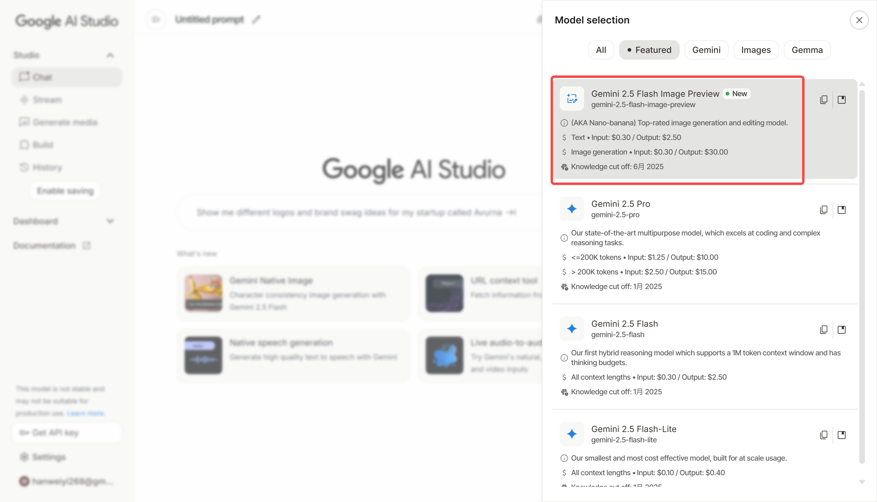 Accessing the Gemini 2.5 Image Preview model