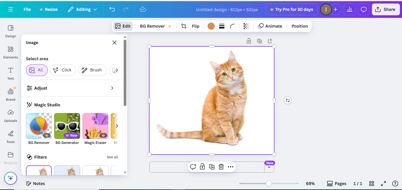 Canva - a reliable photo background changer
