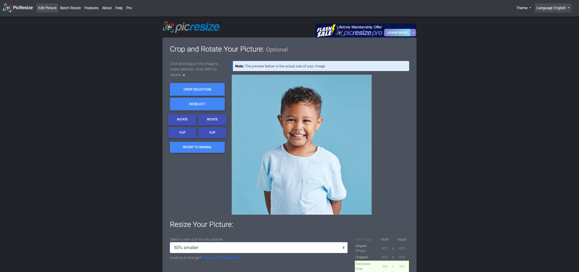 Інтерфейс PicResize - зручний редактор розмірів фотографій