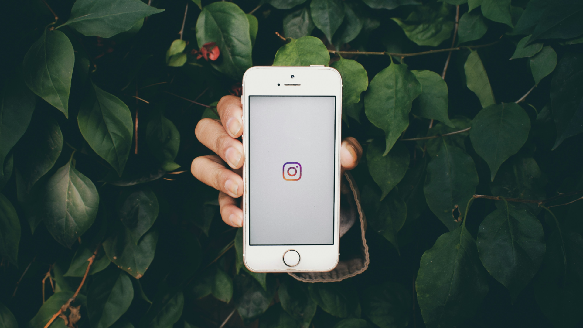 Benefits of creating Instagram Story collages