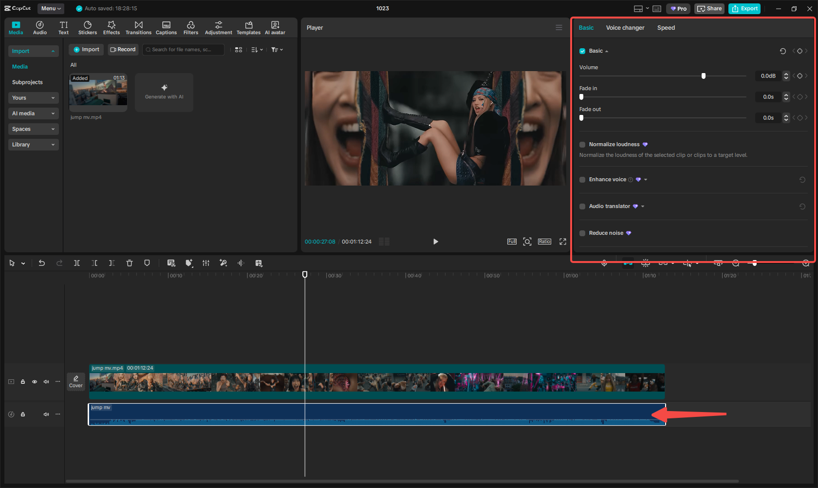 Edit the audio