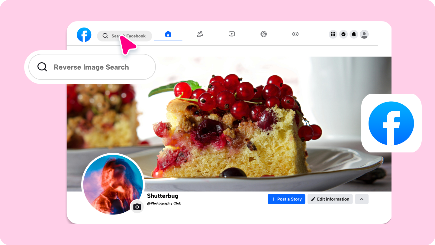 facebook image search