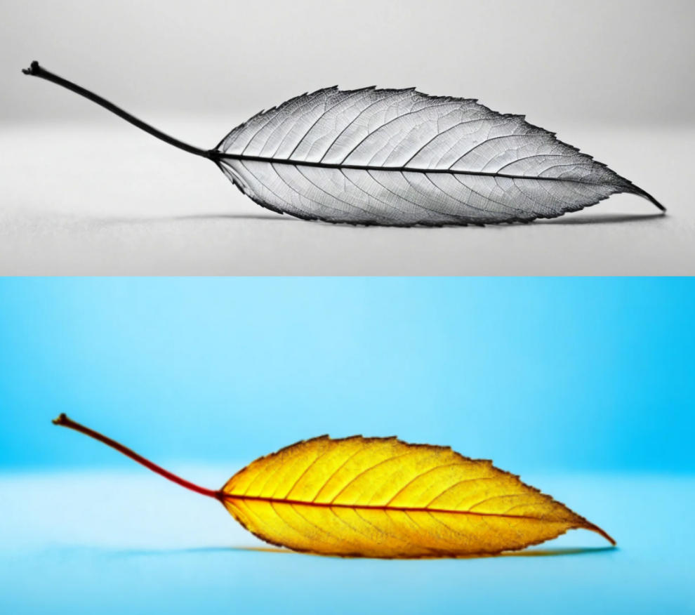 Ersätter bakgrunder med Qwen AI Image