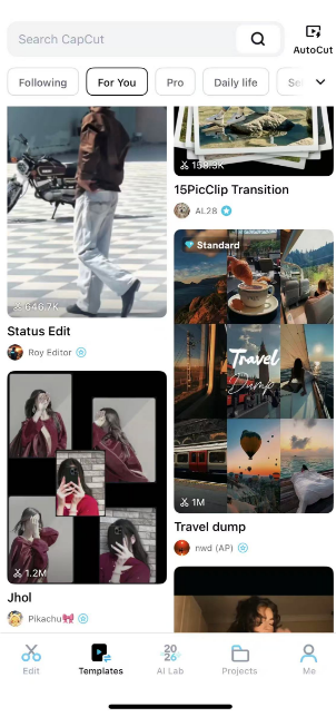 Шаблоны поиска в CapCut mobile