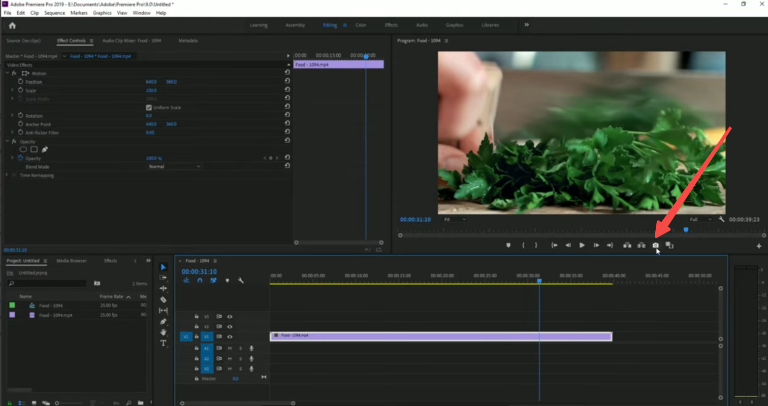 Export freeze frame in Premiere Pro