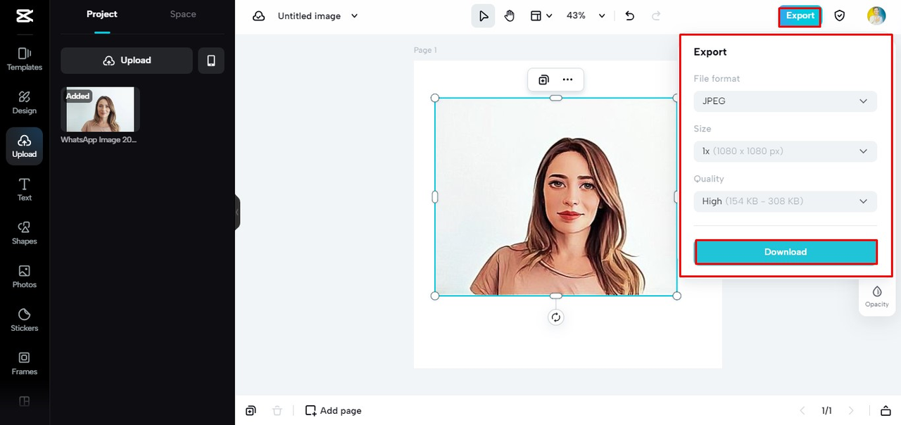 export image