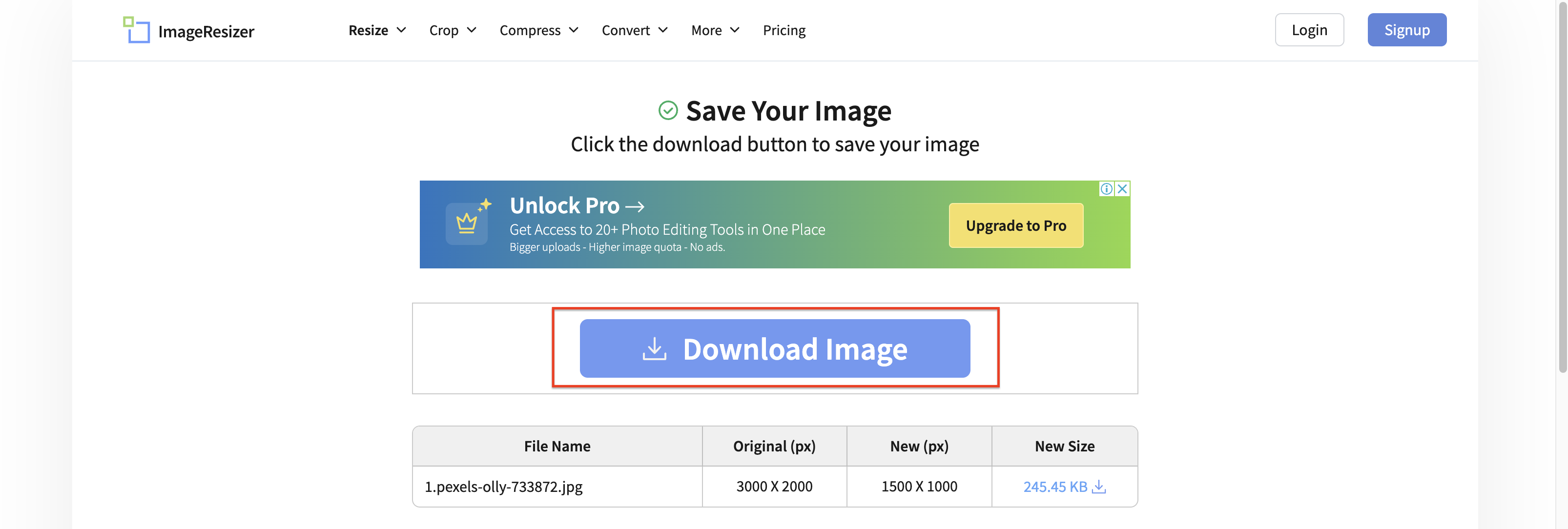 Download the resized image