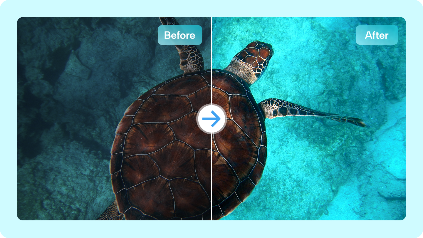 How to Adjust Image Contrast for Better Visual Clarity