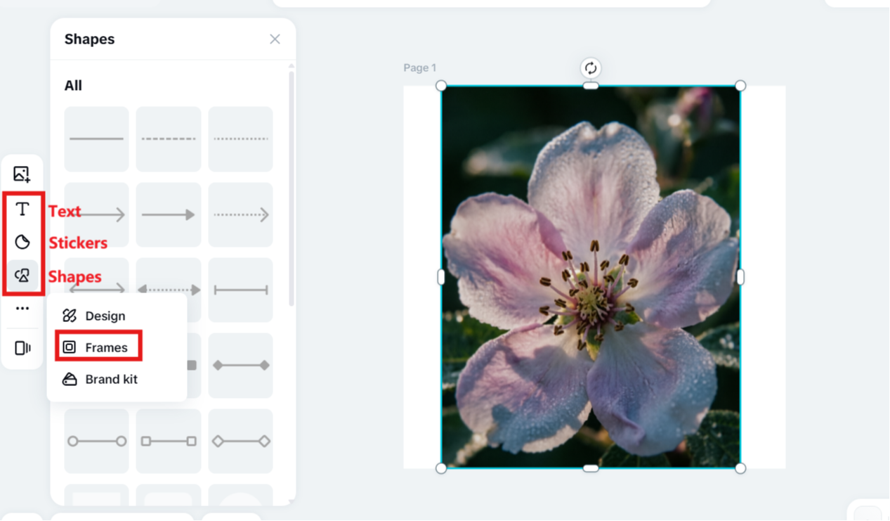 Add text or stickers