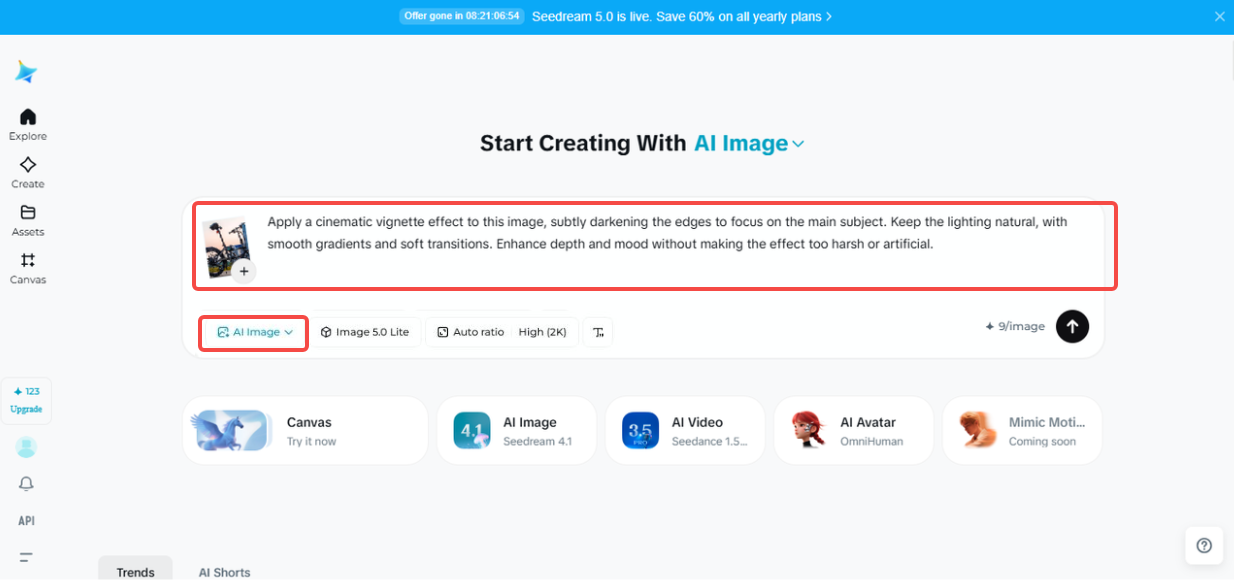 Enter text prompt to add vignette effect