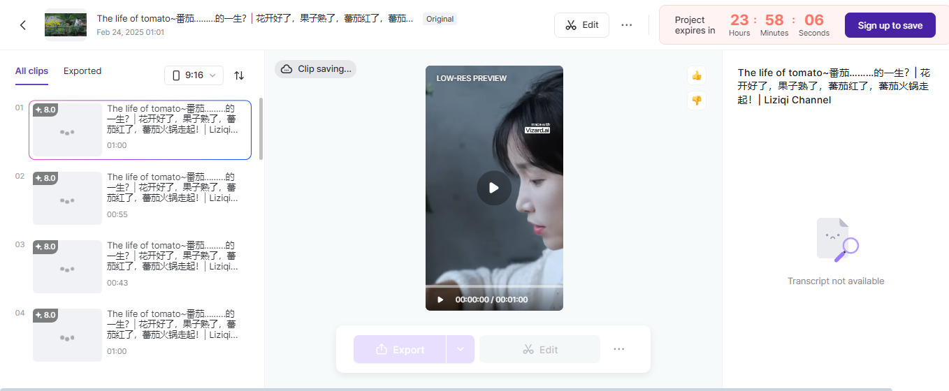 Vizard.ai’s interface