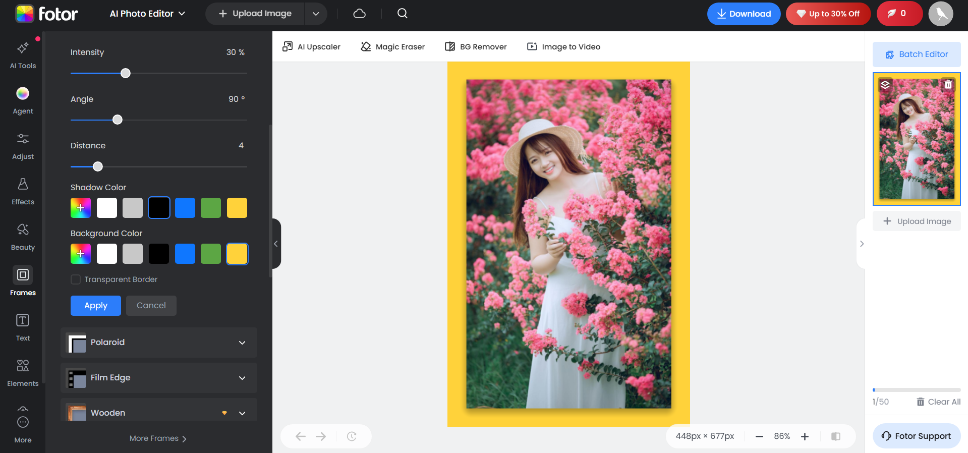 Fotor interface