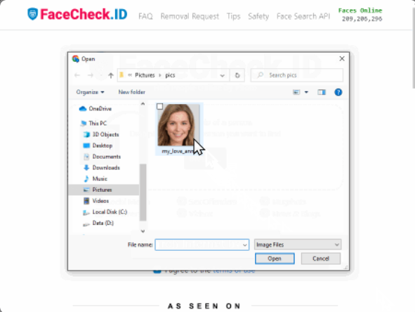 Interface of FaceCheck.ID - another efficient Facebook image search tool