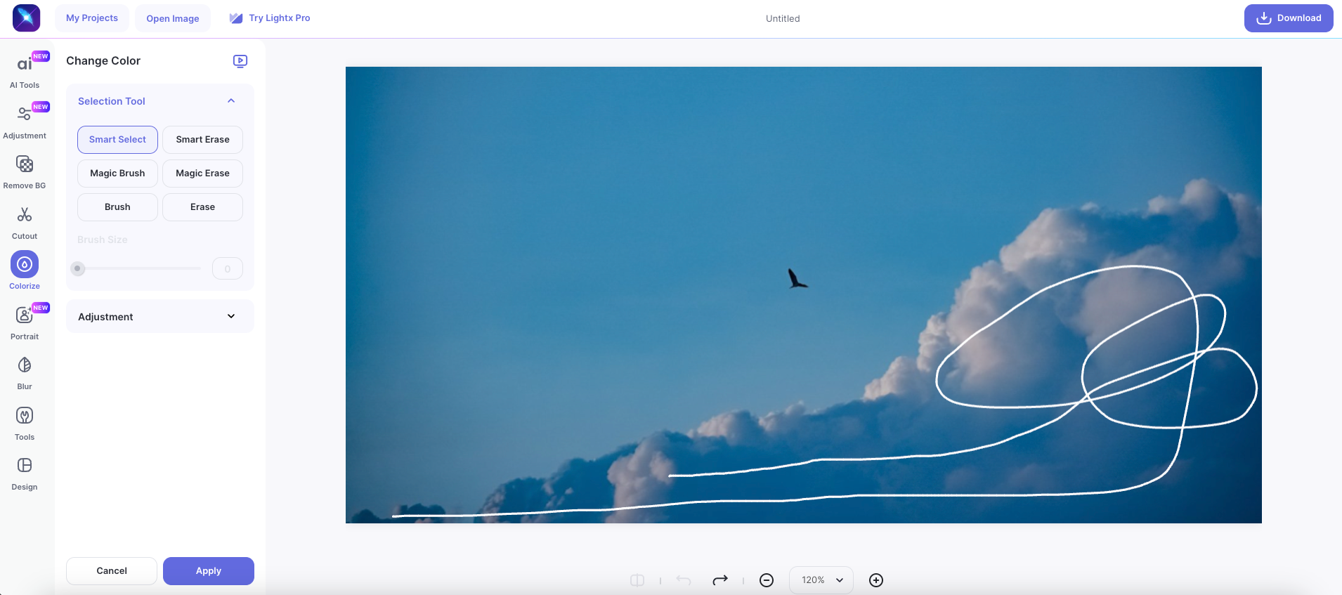 Trageți linii peste zonă pentru a recolora o imagine online