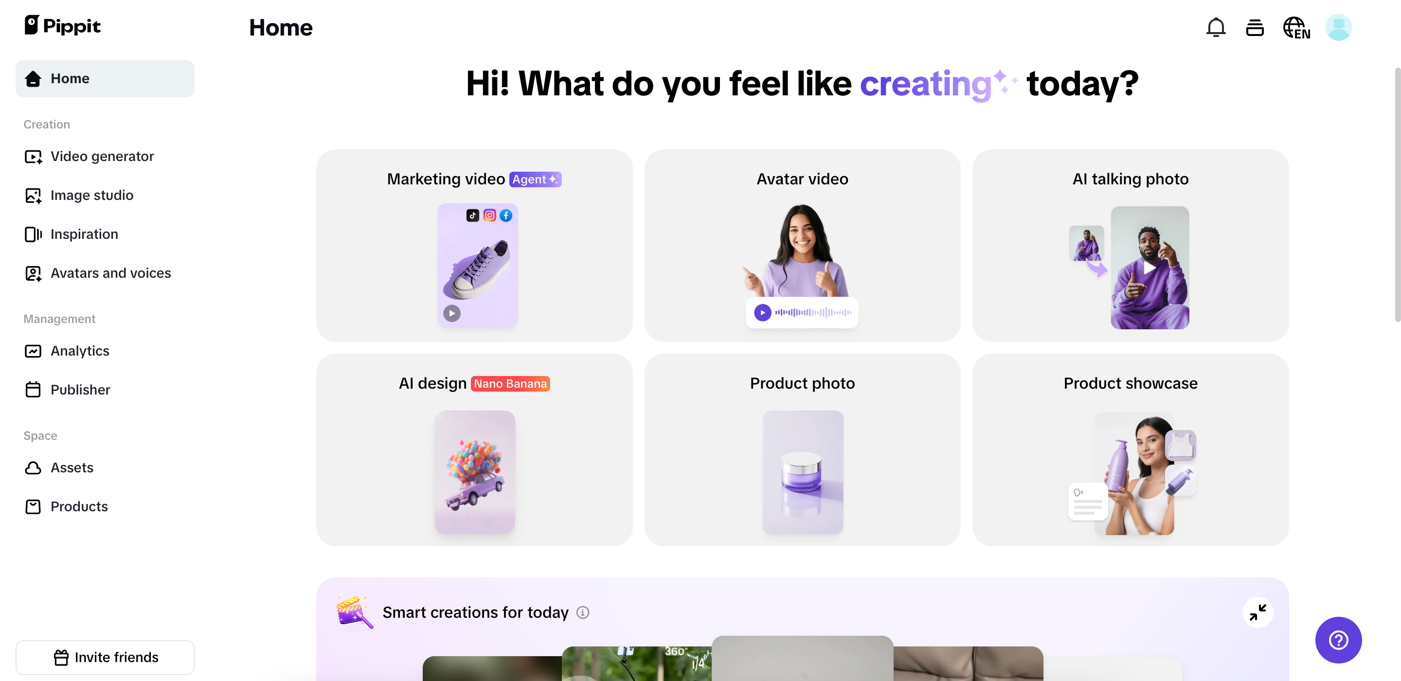 Pippit interface