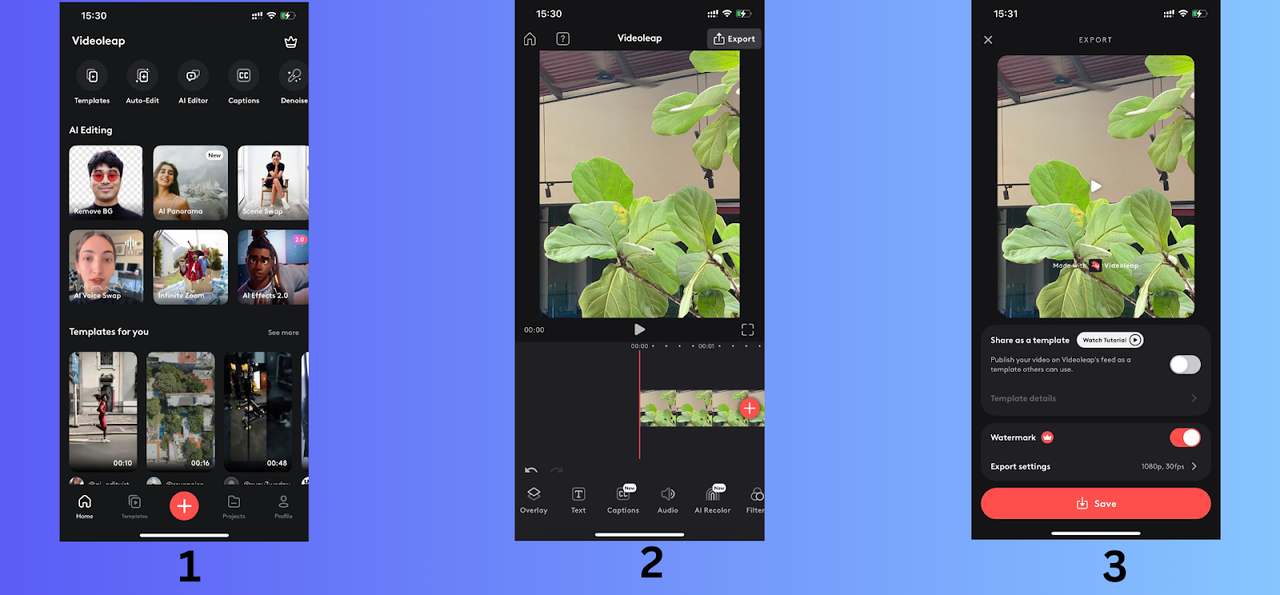 So verwenden Sie Videoleap